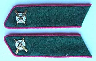 USSR Collar Tab. Red army border guard. Type 1935, COPY.