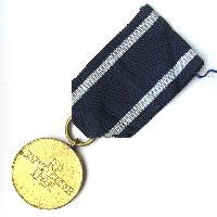Medaille für die Oder, Nisu, Baltikum 1945