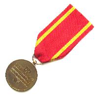 Medal for Warsaw 1939 1945