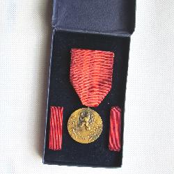 Medal for Service to Homeland