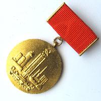 Medal for merits in the construction of the Strakonice region.