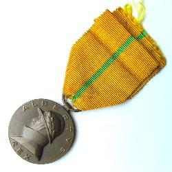 Медаль В память правления Короля Альберта