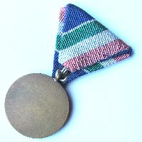 Flood Control Medal