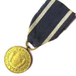 Medaille für die Oder, Nisu, Baltikum 1945
