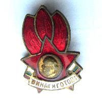 Pioneer badge