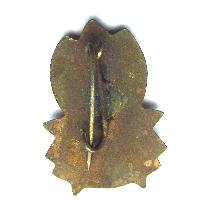 Pioneer badge