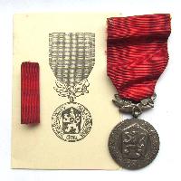 Medal for Merit in Service to the Homeland