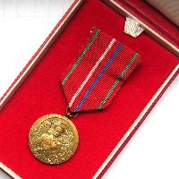 Medal for Merit in Border Protection