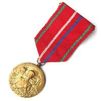 Medal for Merit in Border Protection