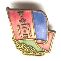 Flag badge